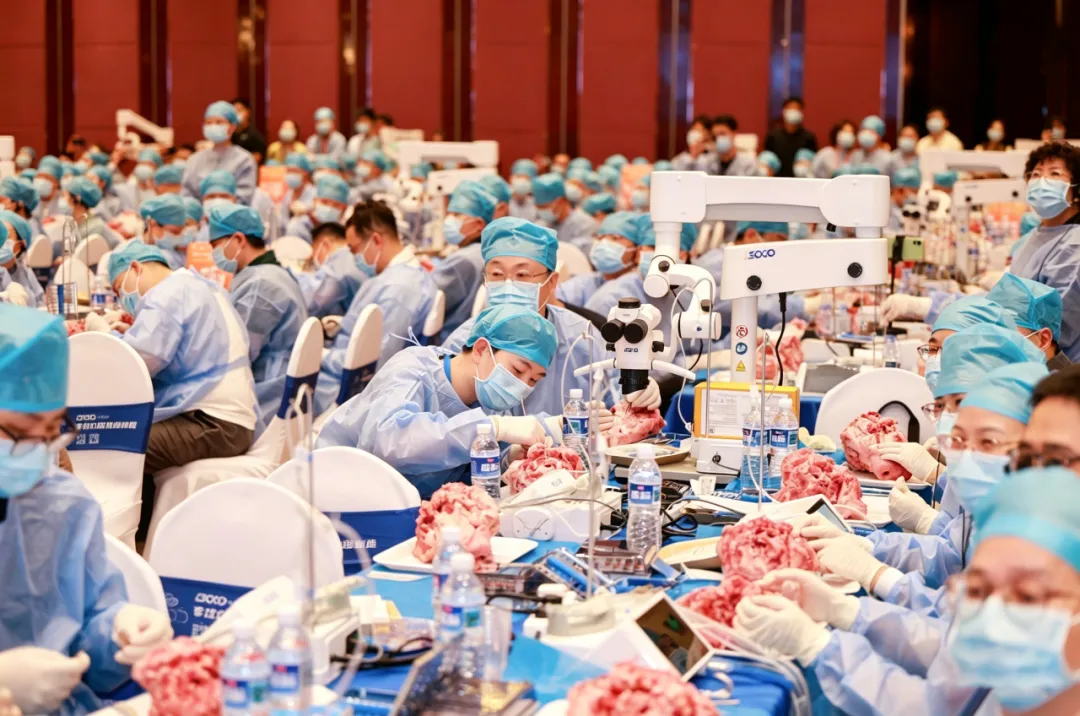 Participants using dental operating microscopes during hands-on training at the implant congress