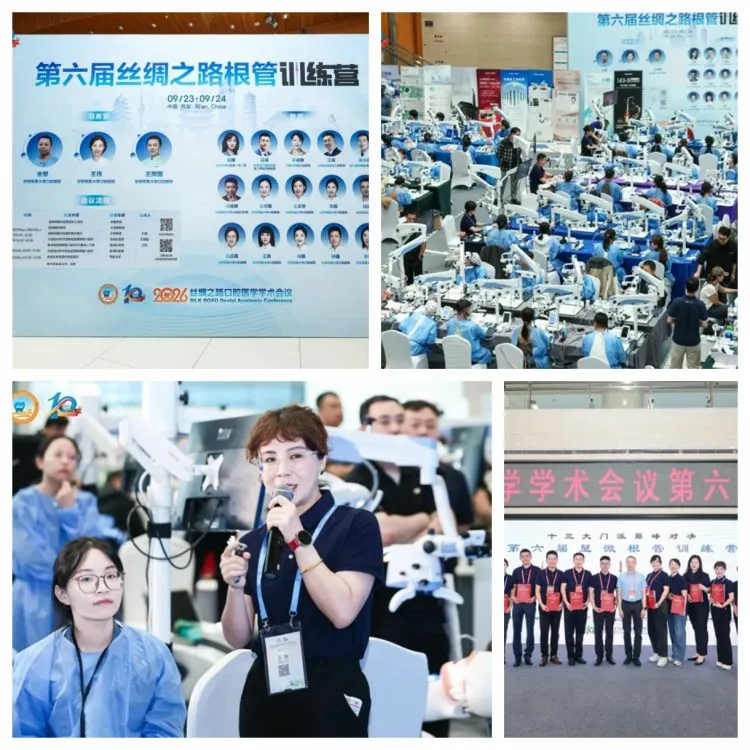 6th Micro-Endodontics Training Camp