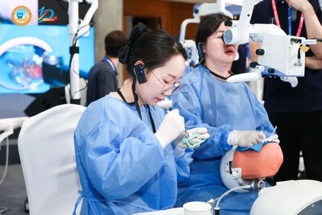 Dentists using SC NiTi rotary files under a dental operating microscope during an endodontic competition